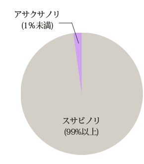 スサビノリ99%以上・アサクサノリ1％未満 (円グラフ)