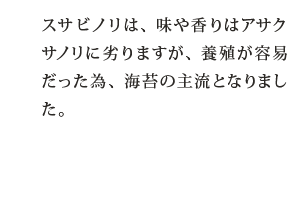 スサビノリは、味や香りはアサクサノリに劣りますが、養殖が容易だった為、海苔の主流となりました。