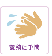養殖に手間