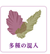 多種の混入