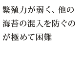 繁殖力が弱く、他の海苔の混入を防ぐのが極めて困難