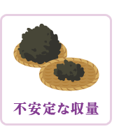 不安定な収量
