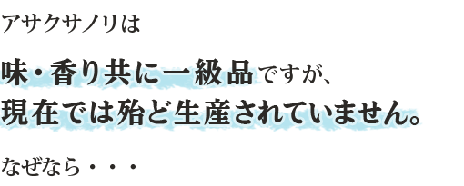 アサクサノリは味・香り共に一級品ですが、現在では殆ど生産されていません。なぜなら・・・