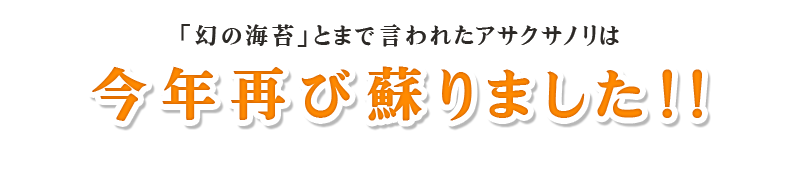 「幻の海苔」とまで言われたアサクサノリは今年再び蘇りました！！
