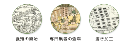 養殖の開始・専門業者の登場・漉き加工