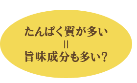 たんぱく質が多い=旨味成分も多い？