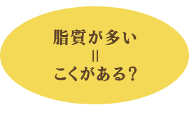 脂質が多い=こくがある？