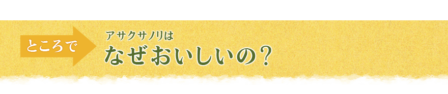 ところで、アサクサノリはなぜおいしいの？