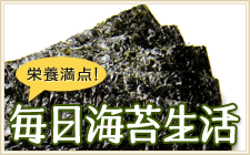 栄養満点！毎日海苔生活