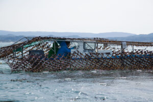 「海苔の流通と、私たちの仕事」