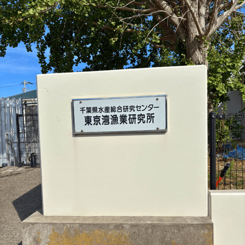 新シーズンを前に──東京湾漁業研究所を訪ねて